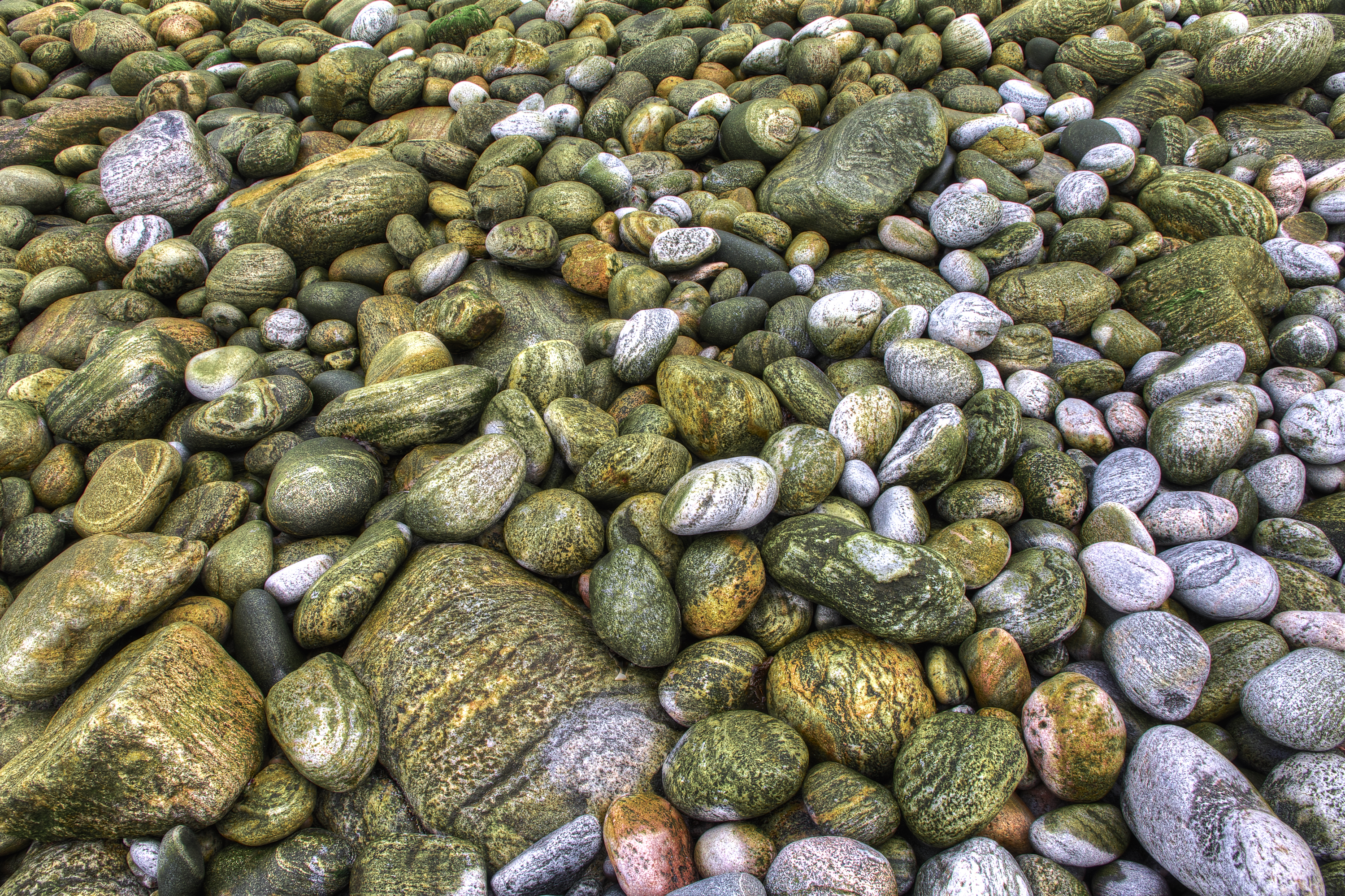 IMG 5139 Aperture Edit 1