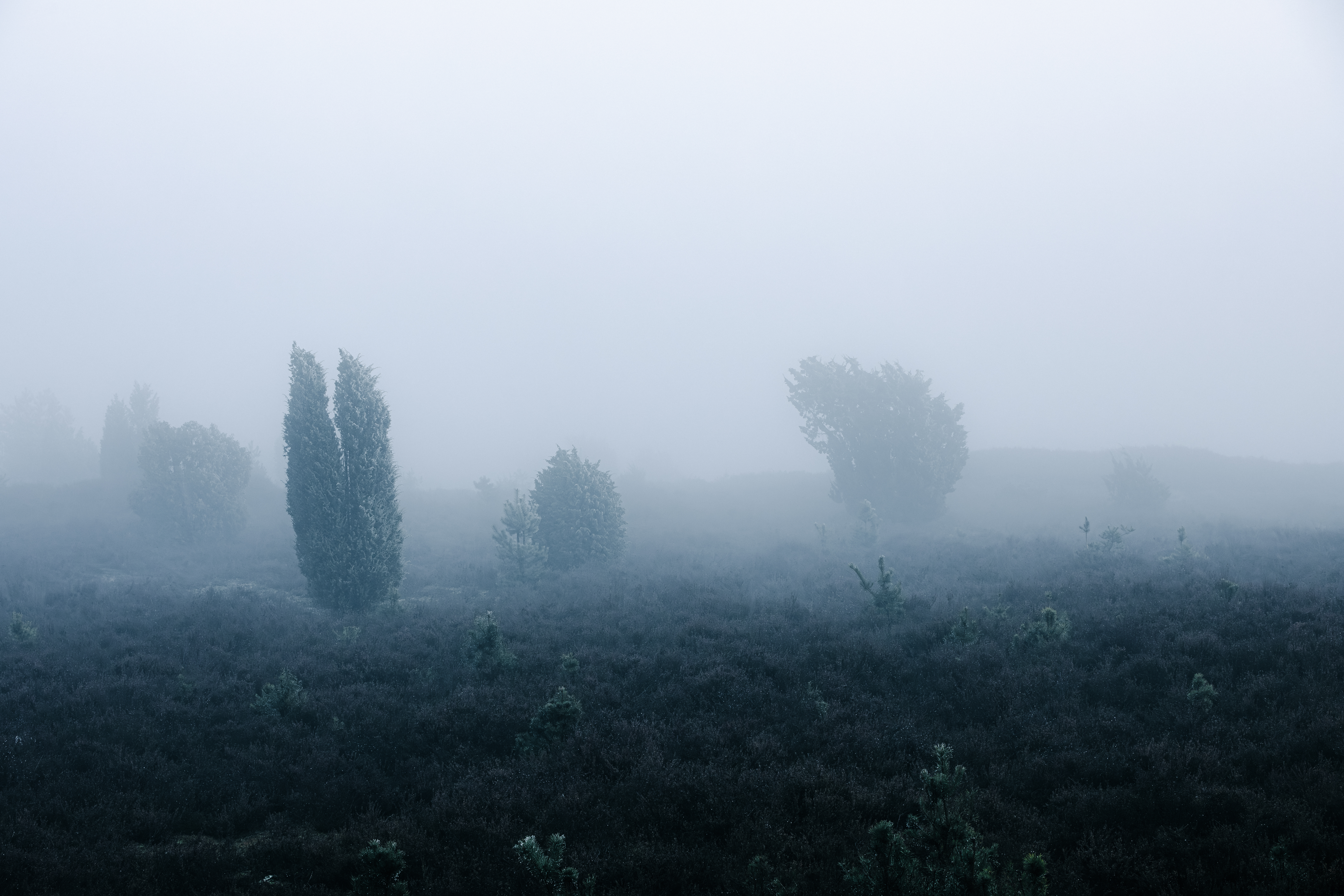 20241228  24 5343 Verbessert RR