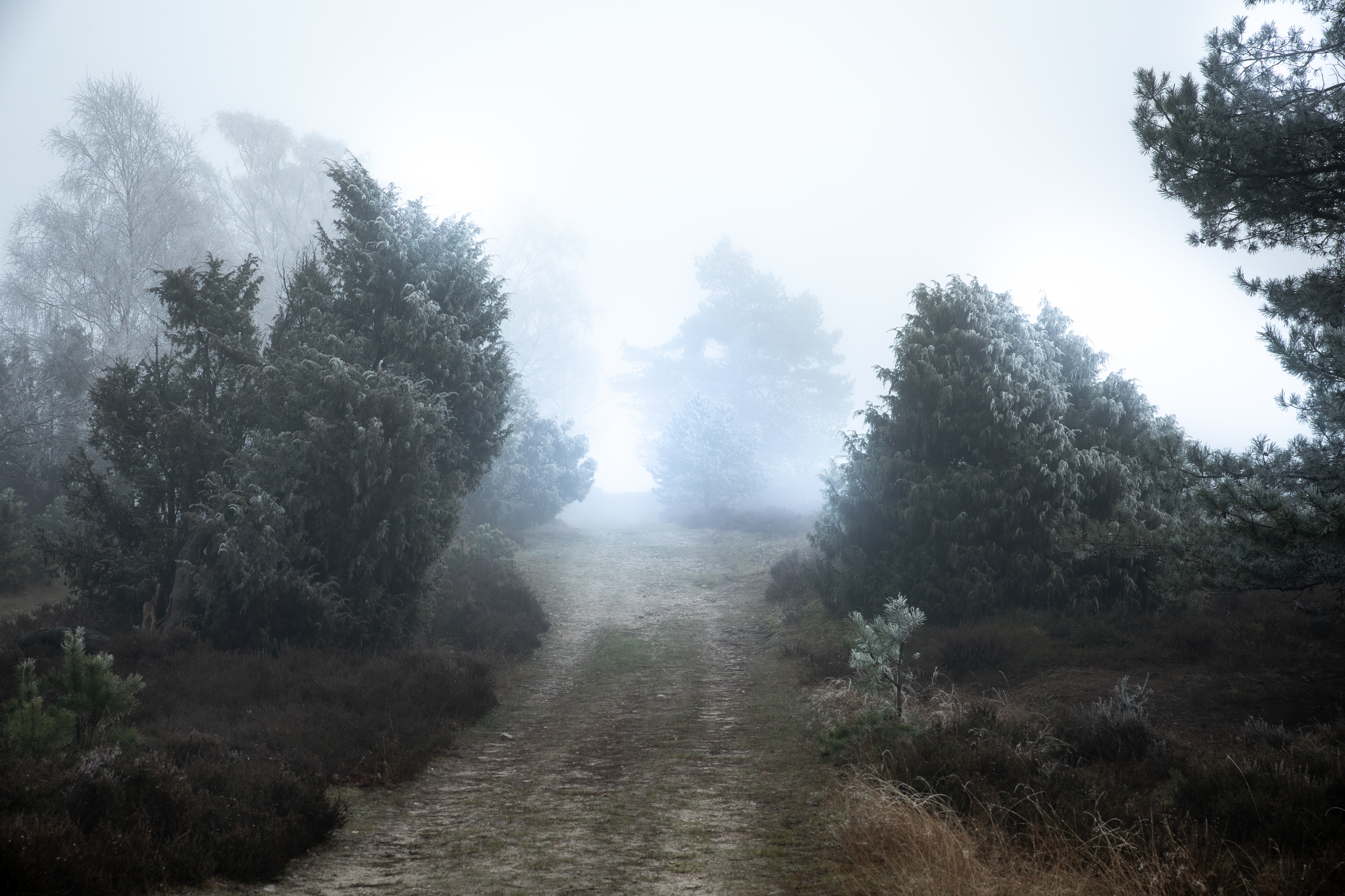 20241228  24 5380 Verbessert RR