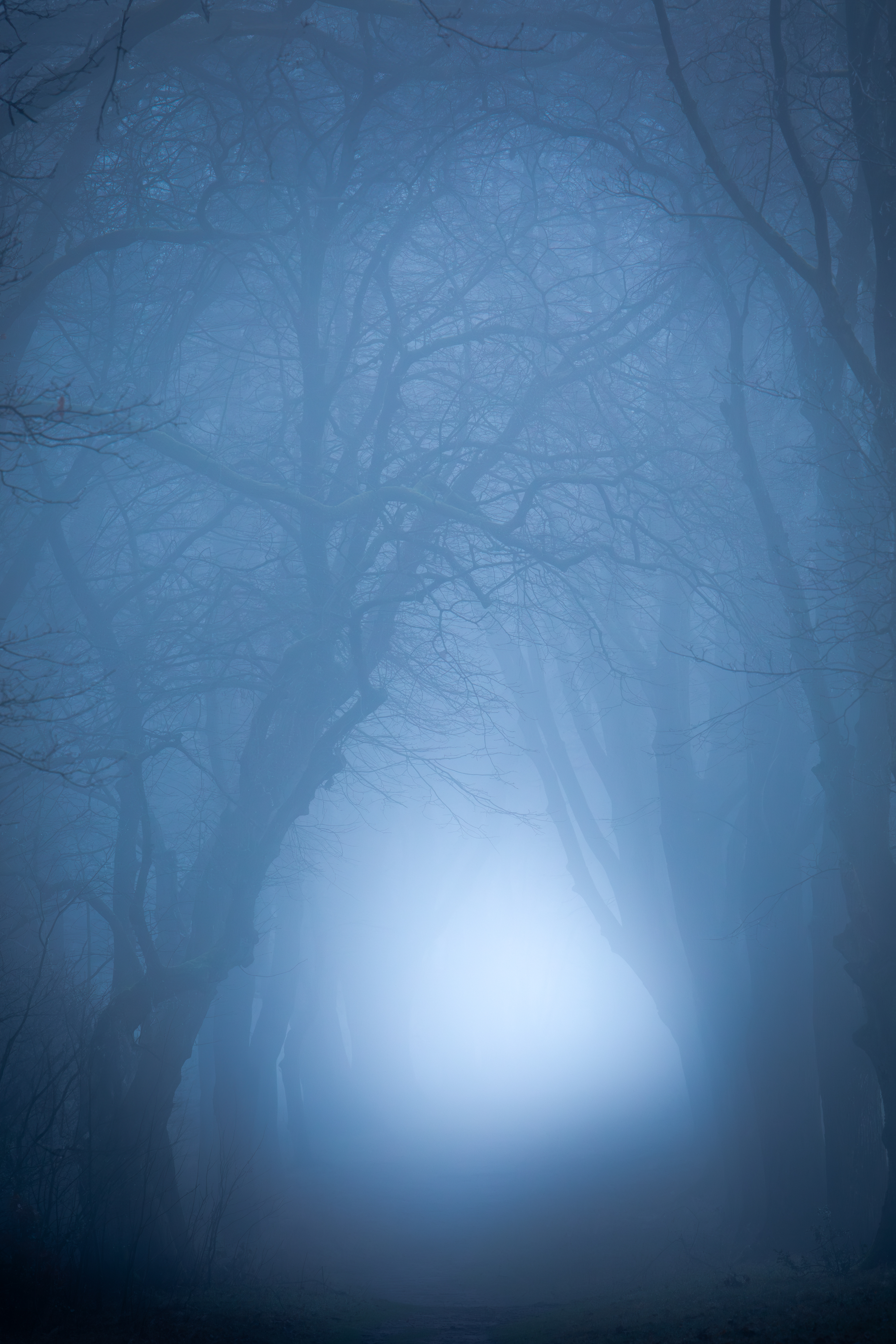 20241228  24 5312 Verbessert RR